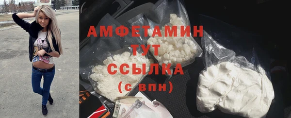 шишки Бородино
