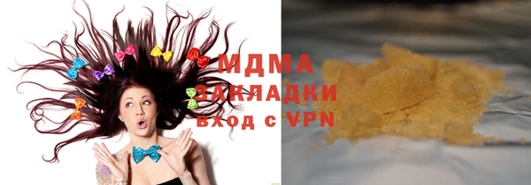 шишки Бородино