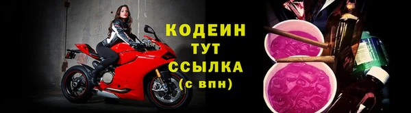 шишки Бородино