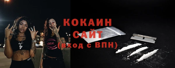 шишки Бородино
