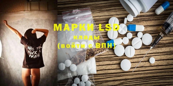 шишки Бородино