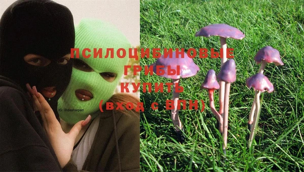 шишки Бородино