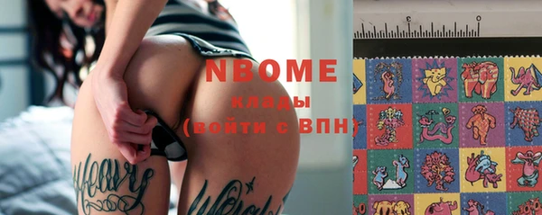 шишки Бородино