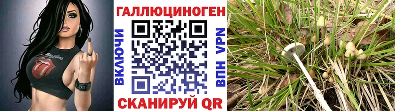 цена наркотик  Динская  Галлюциногенные грибы Psilocybine cubensis 
